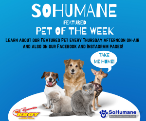 SoHumane Pet of the Week 